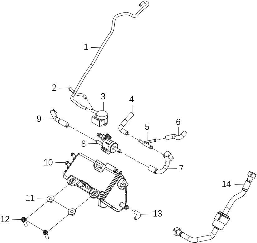 Fuel & Evaporation Systems